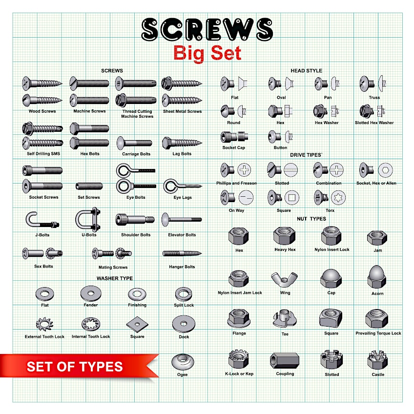Visual Chart of Screw Types