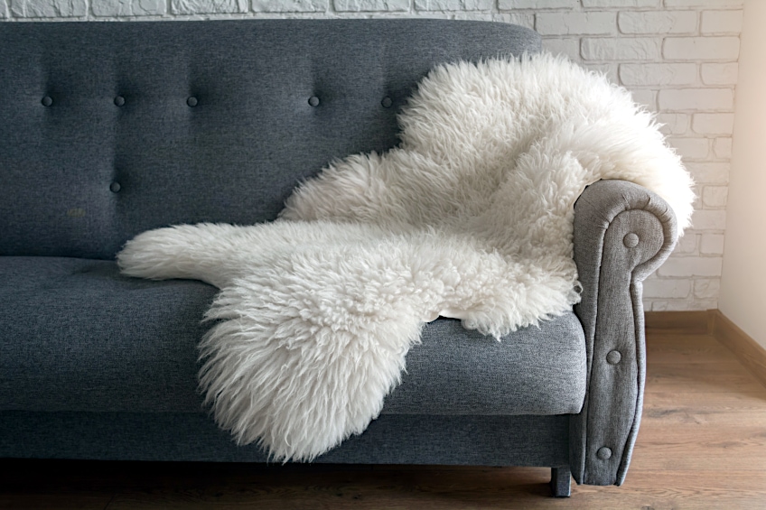 Consider Texture of Gray Sofa