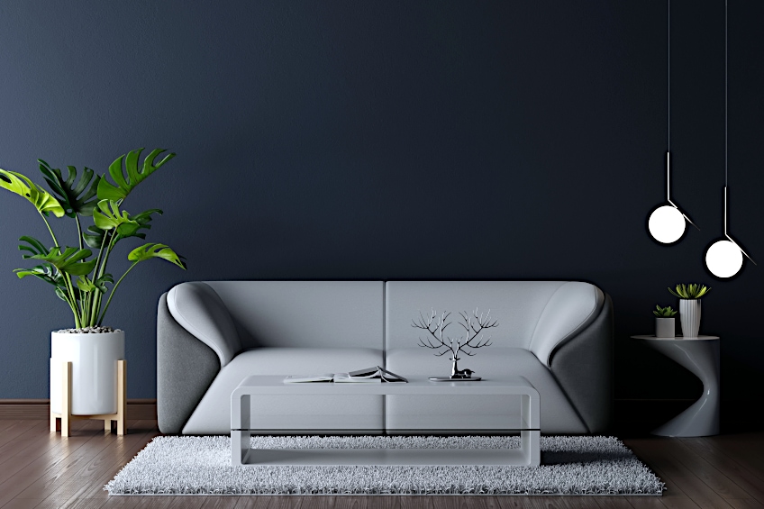 Light Gray Sofa with Dark Blue Wall